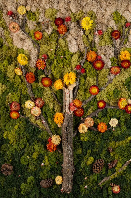 Pumpkin Spice - Fine Art Print