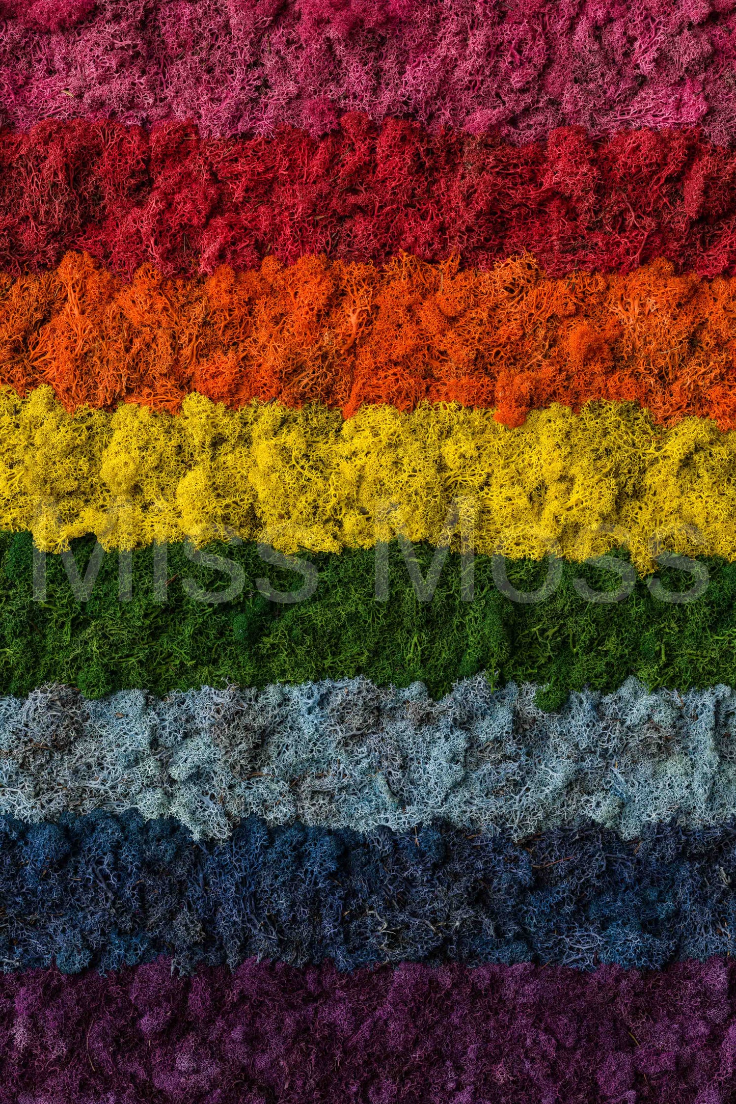 The Rainbow - Print