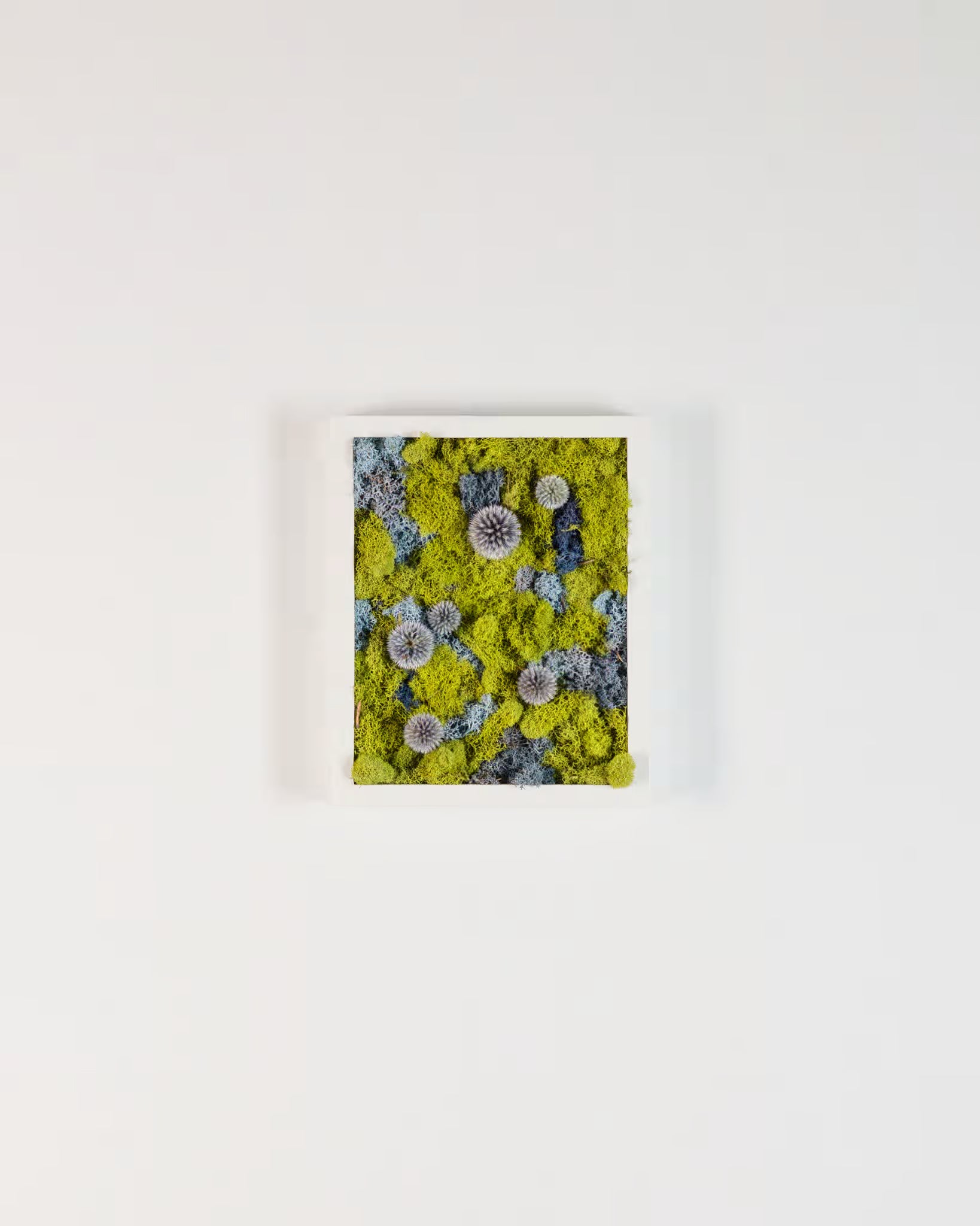 Self Preservation - Moss Art