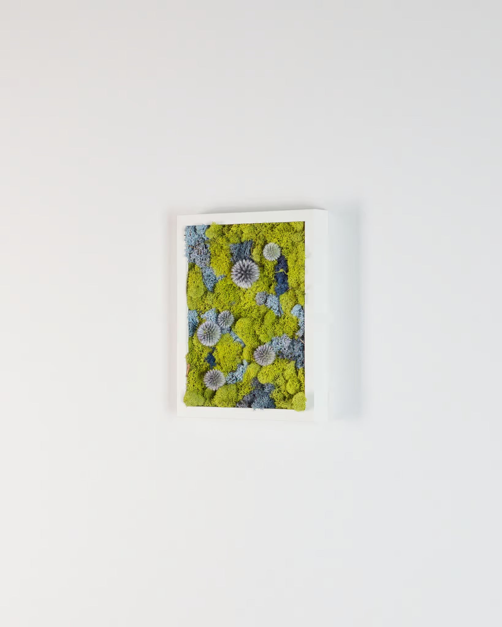 Self Preservation - Moss Art