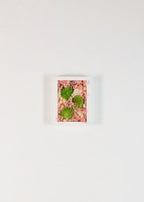 Shortcake - Moss Art