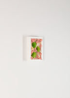 Shortcake - Moss Art