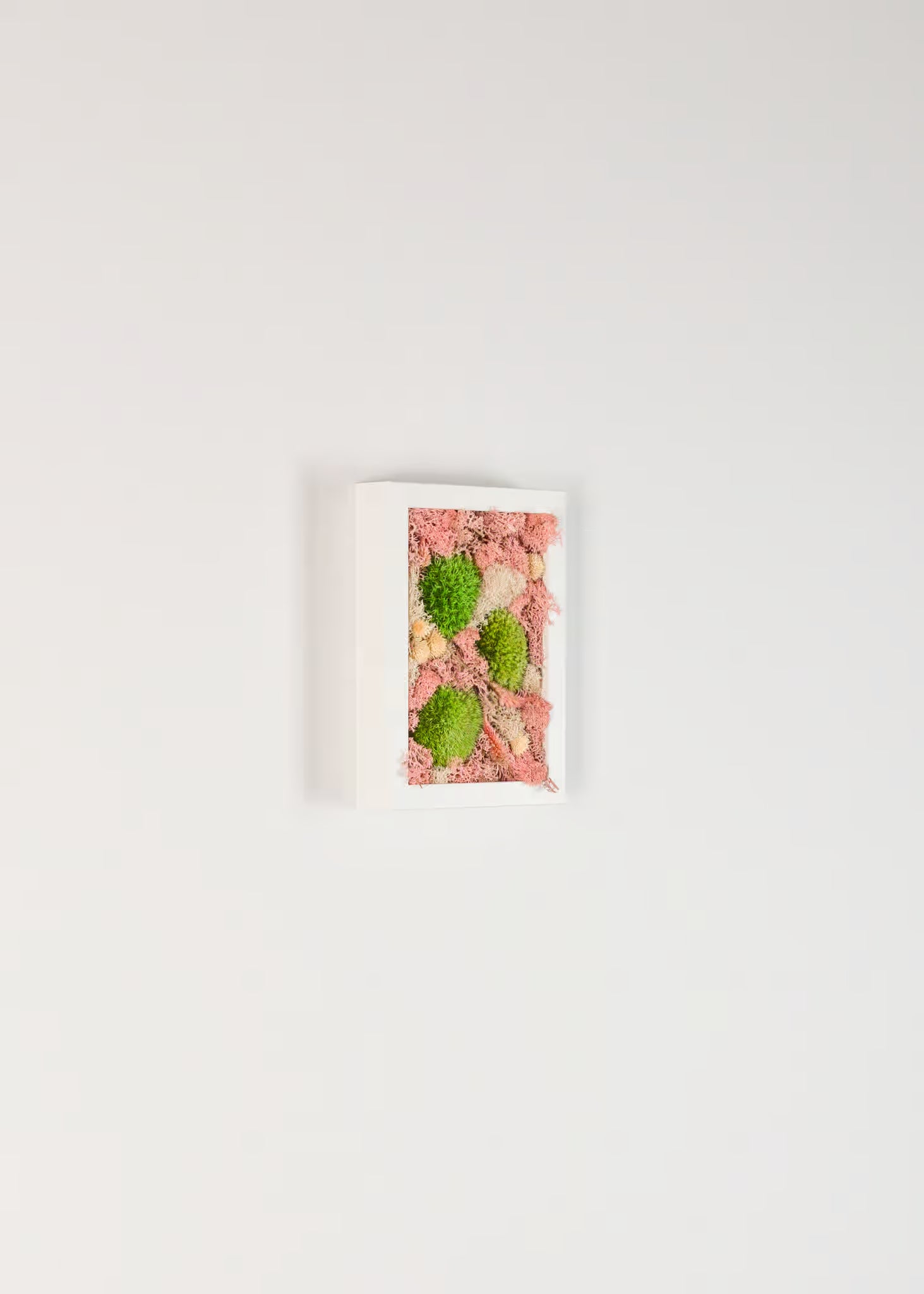 Shortcake - Moss Art