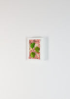 Shortcake - Moss Art