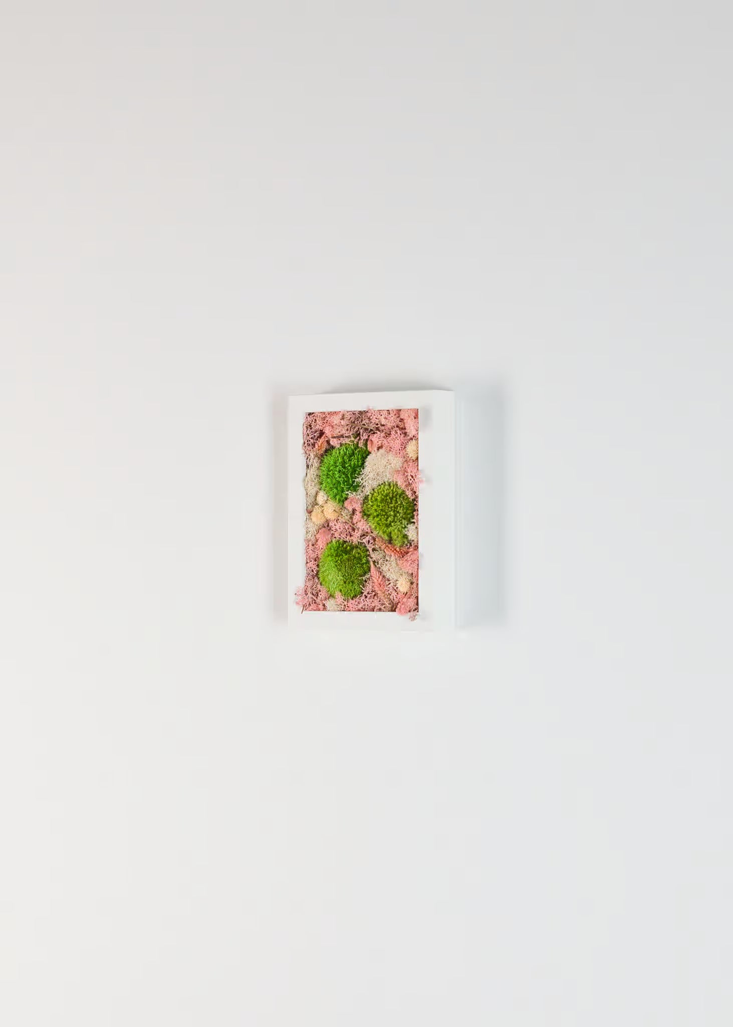 Shortcake - Moss Art