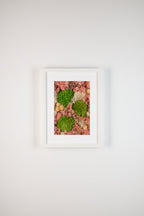 Green & pink mosses fine art print on wall