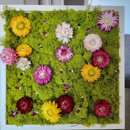 Spring Flowers - Square Frame - Moss Art