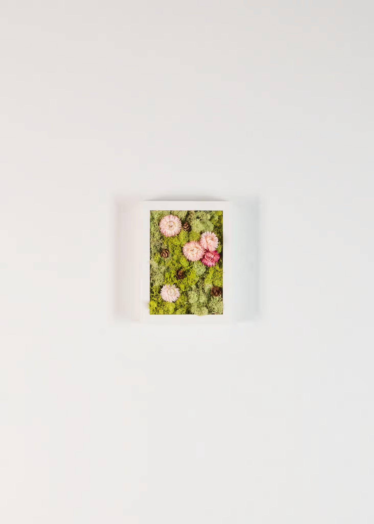 Still - Moss Art