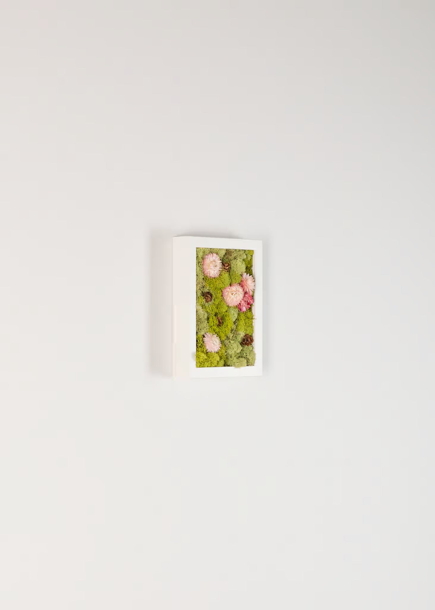 Still - Moss Art