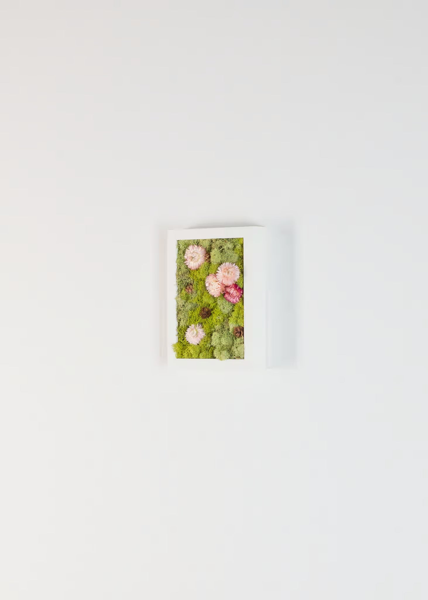 Still - Moss Art
