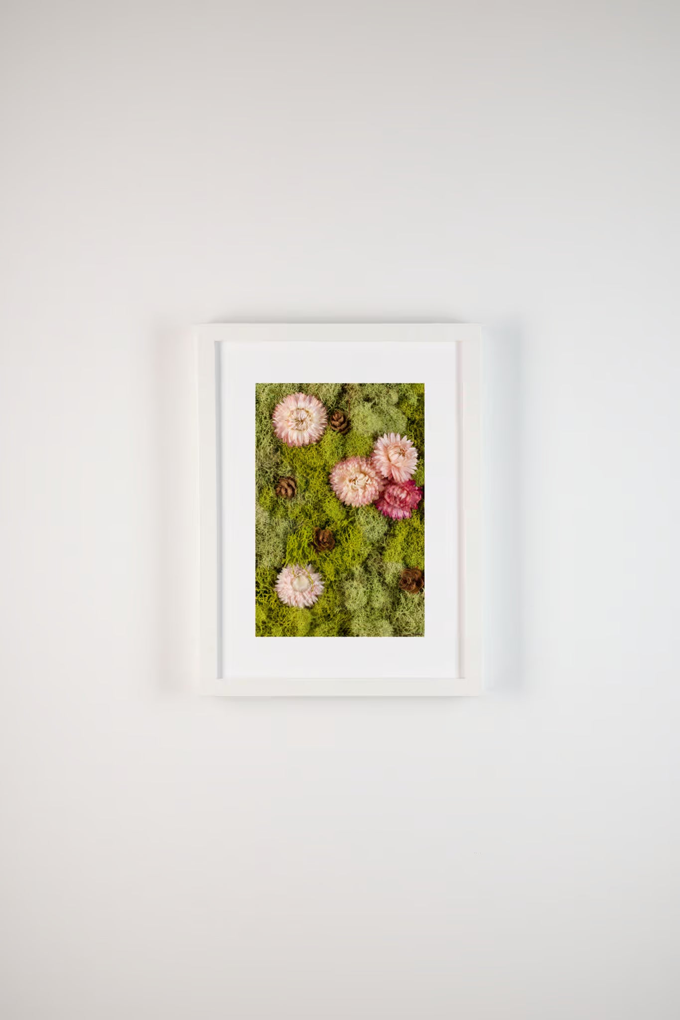 Framed fine art print of pink flowers and pinecones on green moss