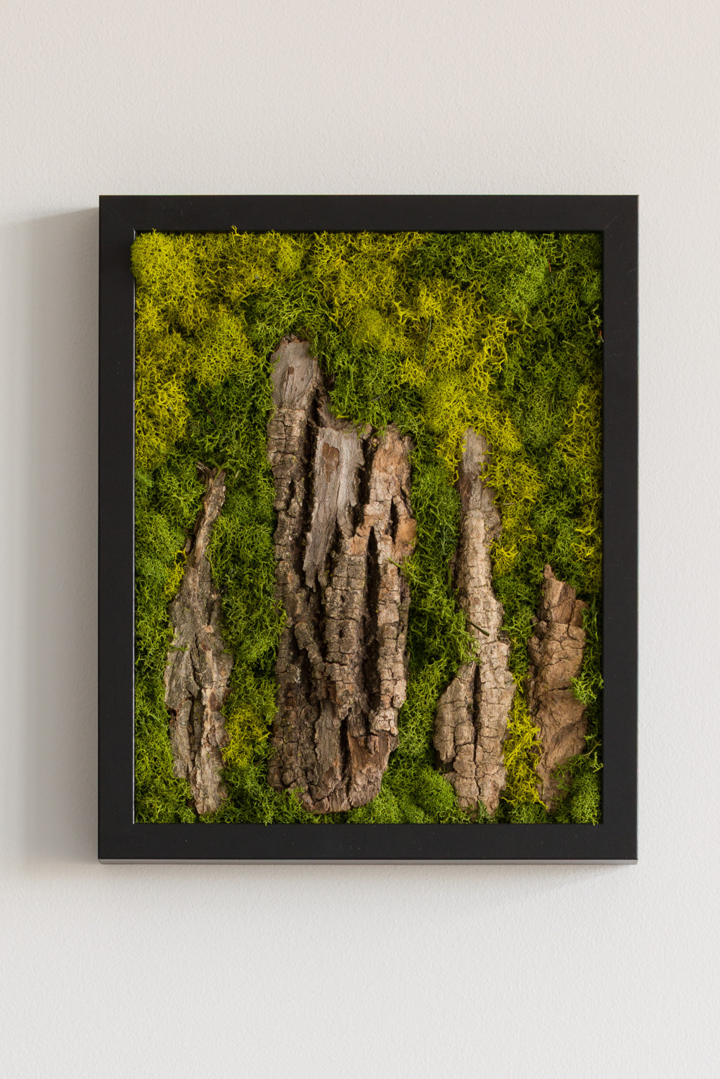 Stonehenge - Moss Art