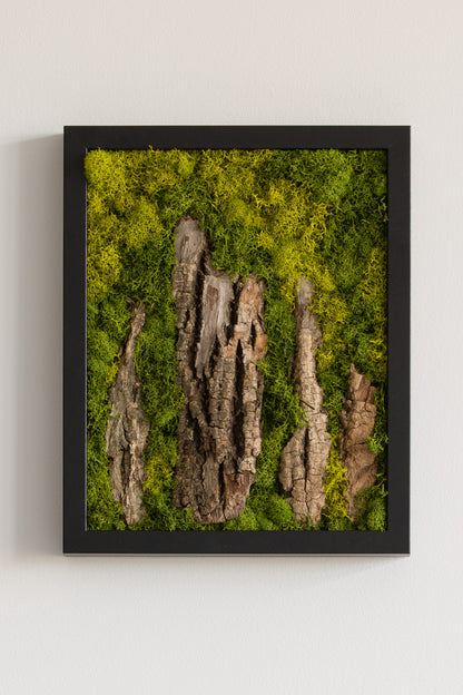 Stonehenge - Moss Art