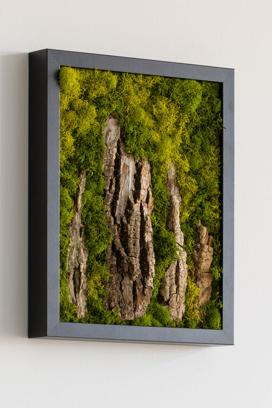 Stonehenge - Moss Art