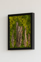 Stonehenge - Moss Art
