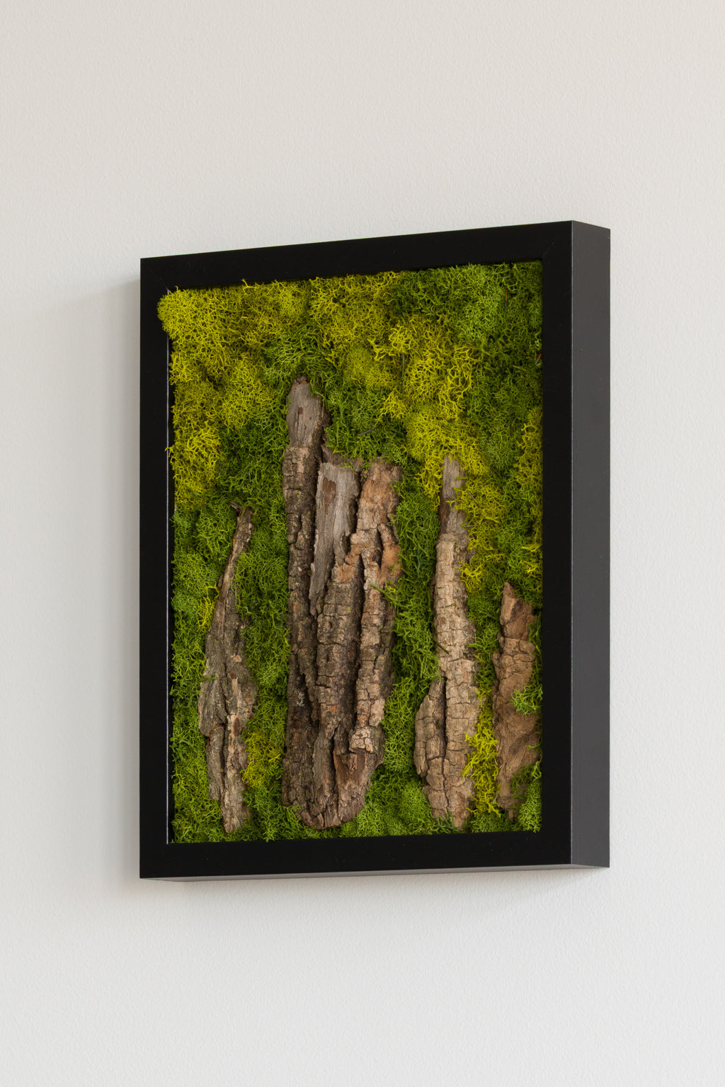 Stonehenge - Moss Art