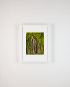 Moss wall with textured dark wood bark pieces fine art print inspired by Stonehenge in white frame on wall