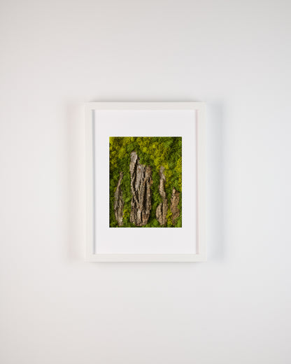 Stonehenge - Fine Art Print