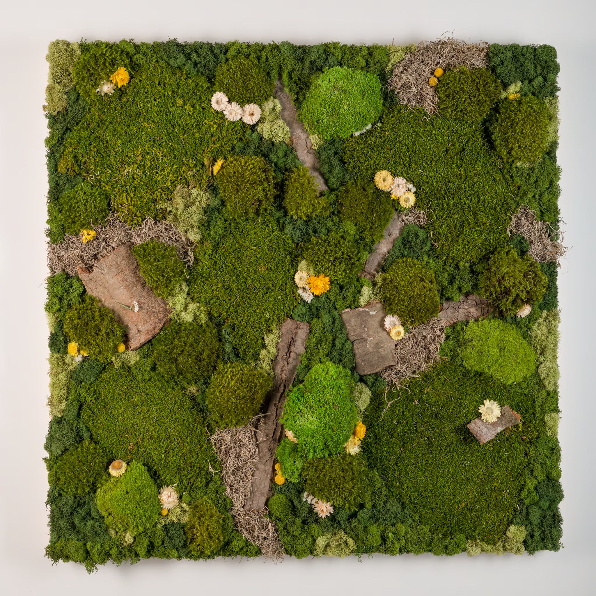 Summer Rain - Moss Art