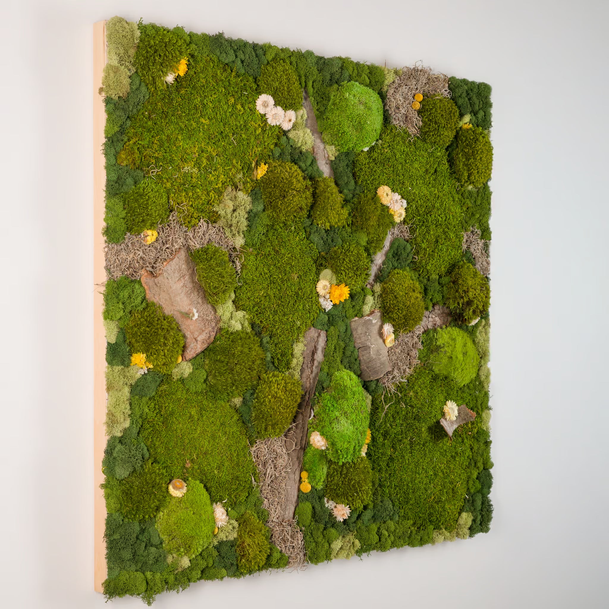 Summer Rain - Moss Art