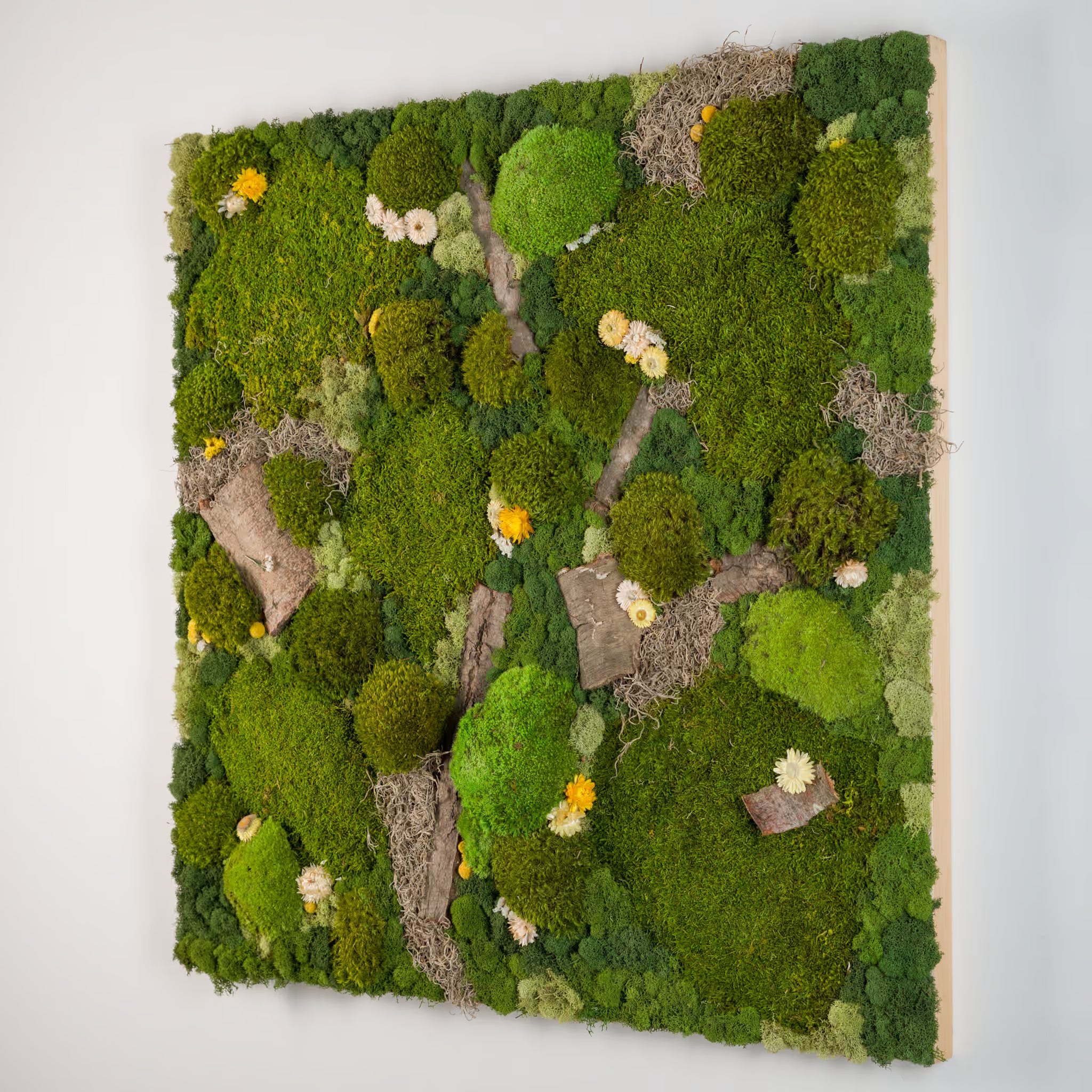 Summer Rain - Moss Art