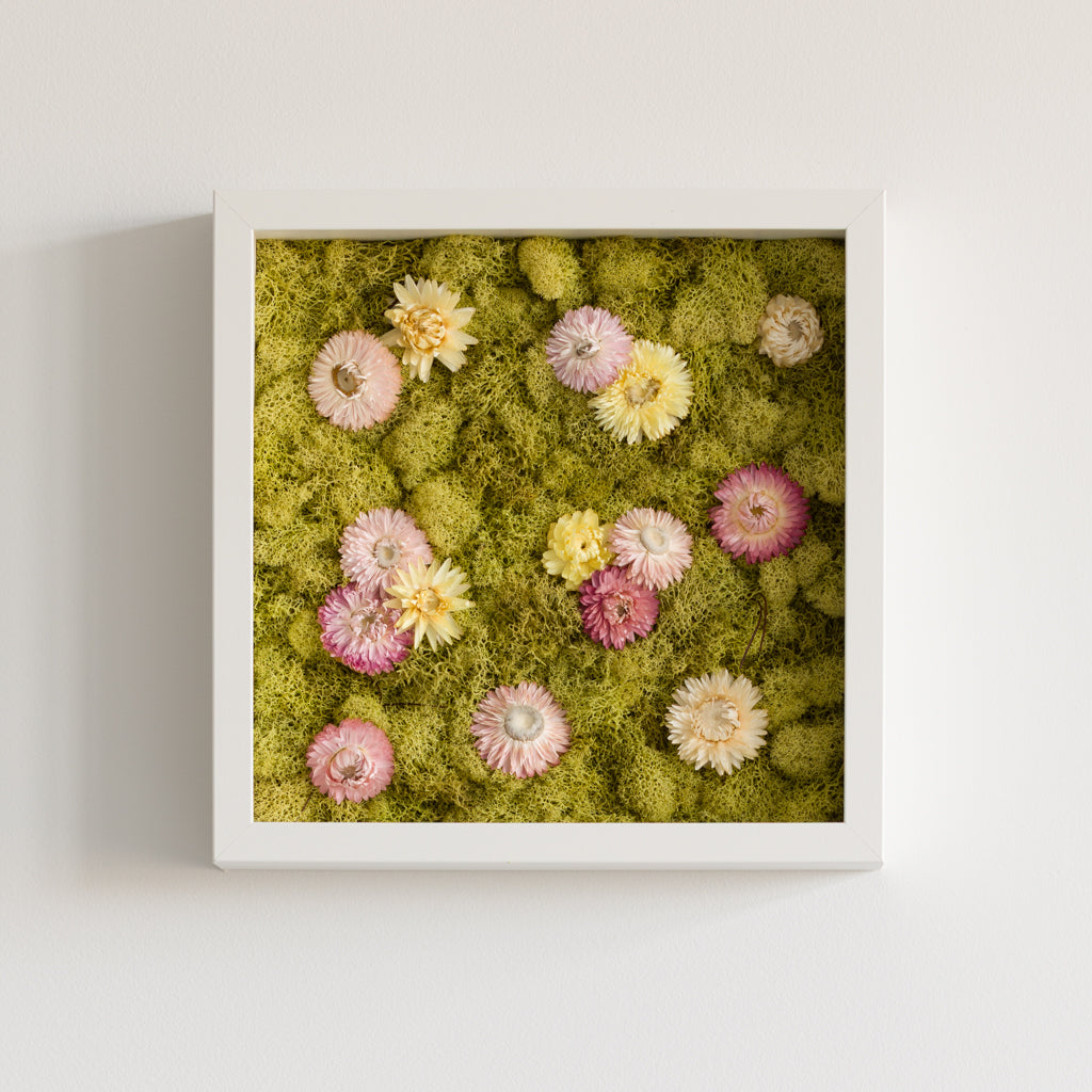 Sunday - Moss Art