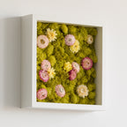 Sunday - Moss Art