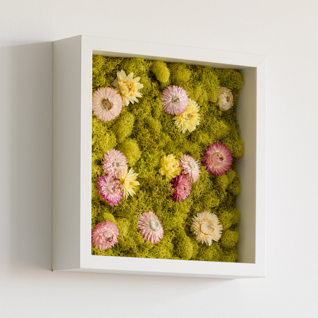 Sunday - Moss Art