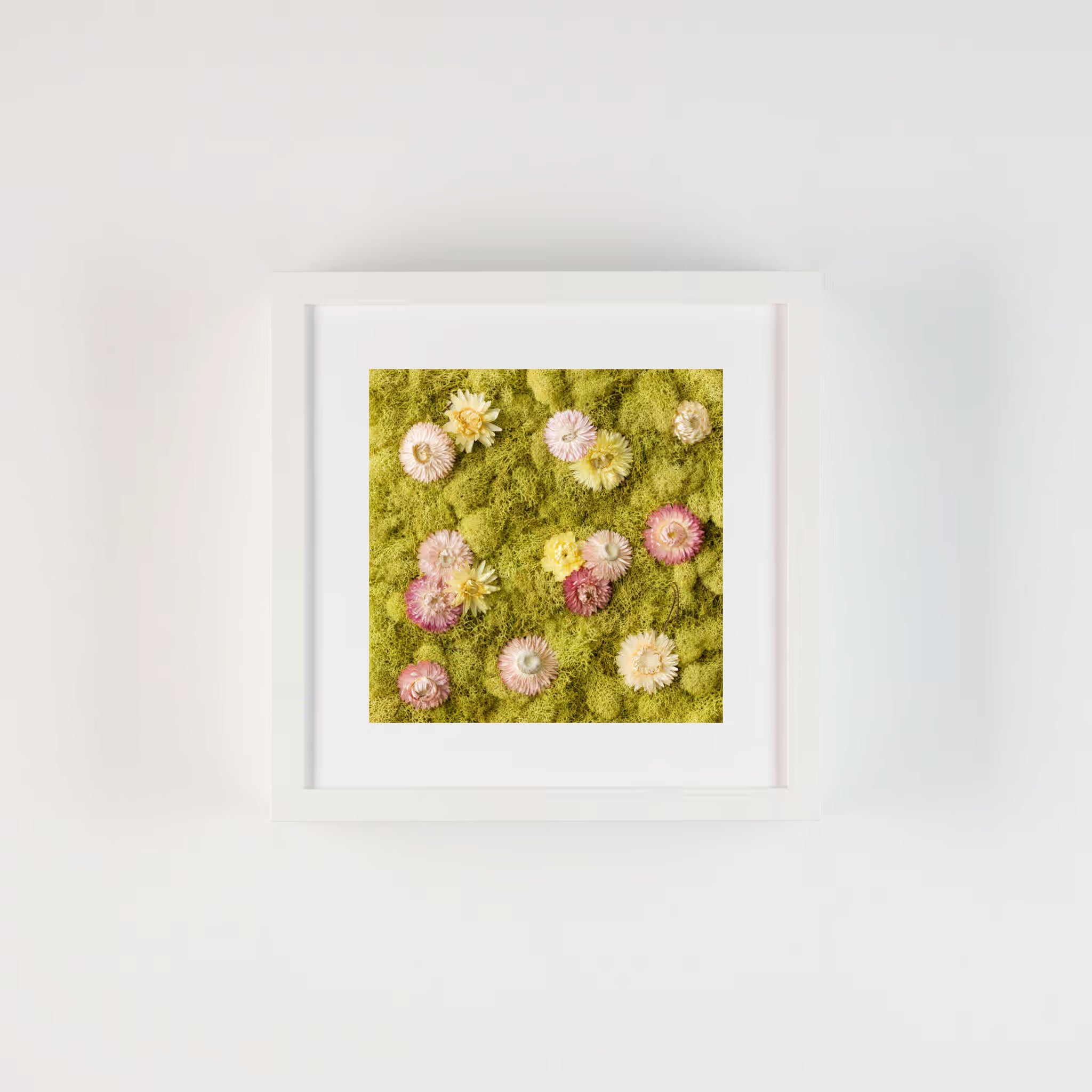 Pastel flowers on a green moss wall fine art print in frame on white wall