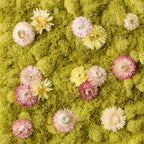Pastel flowers on a green moss wall fine art print