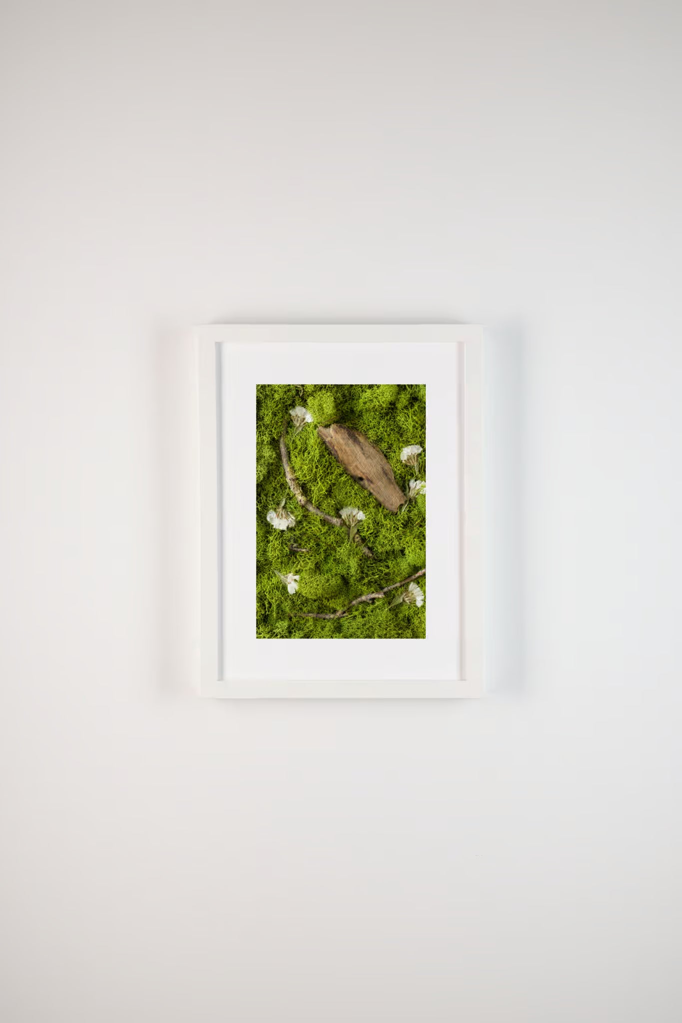 Green moss with white flowers and wood fine art print