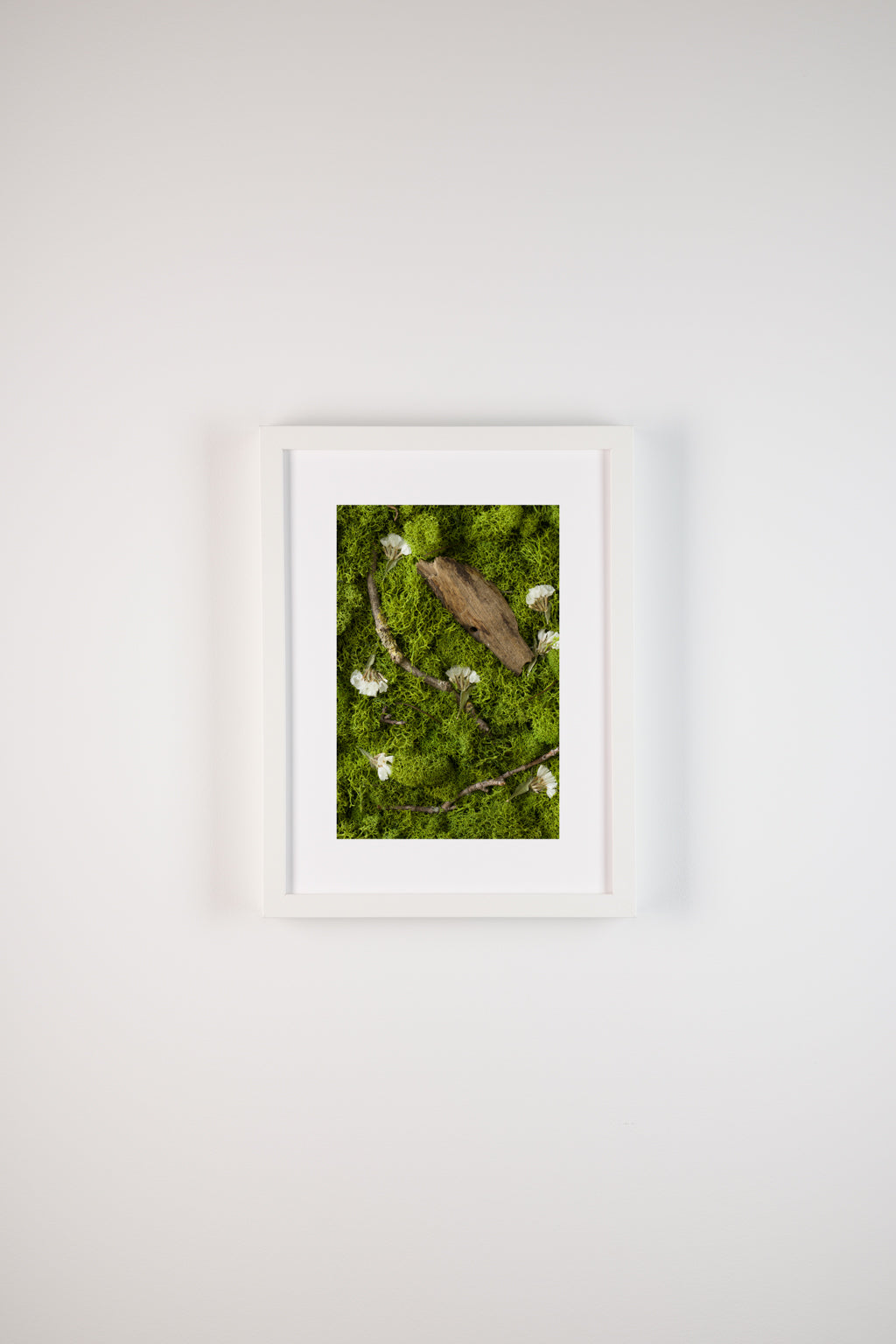 Swan Lake - Fine Art Print