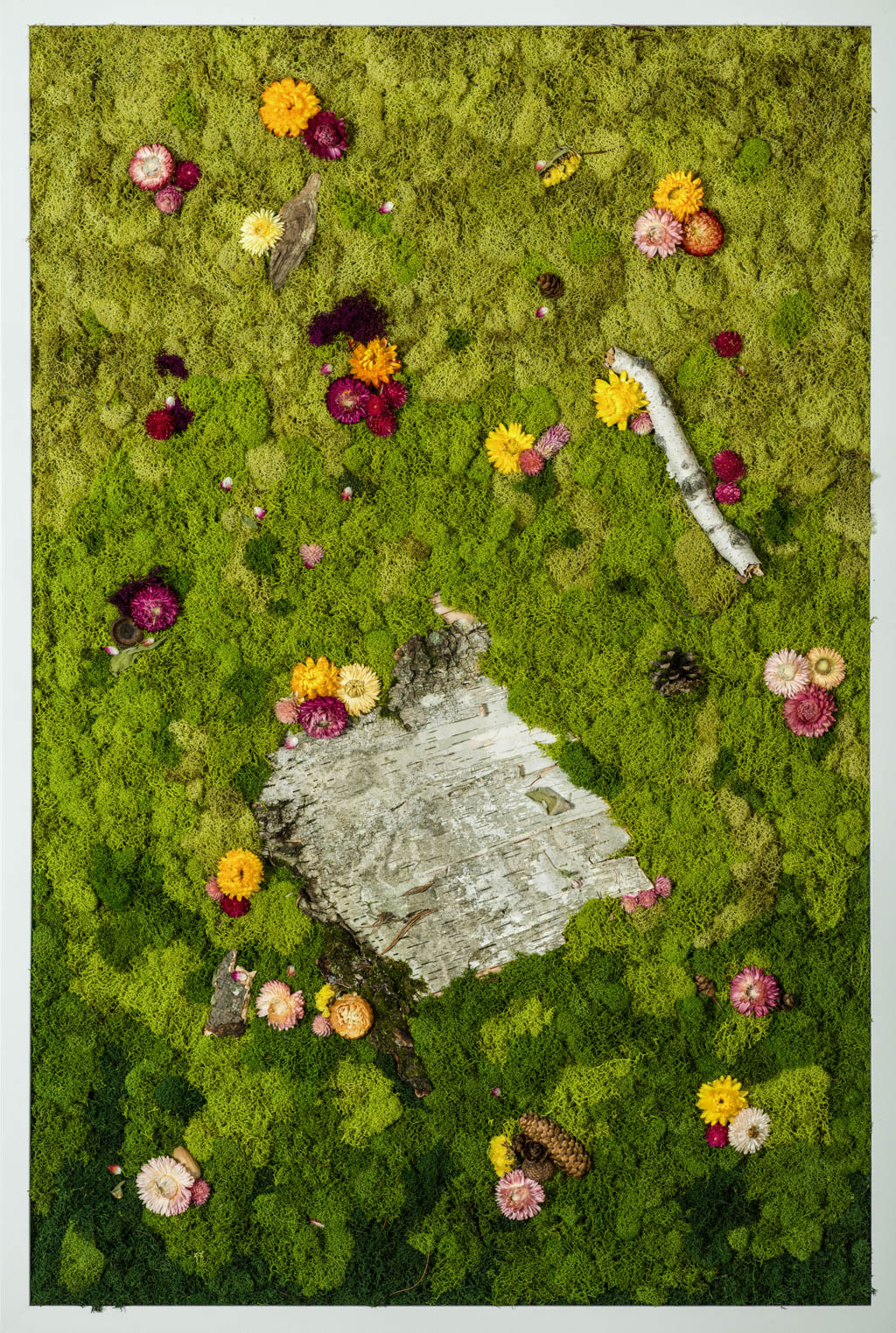 Sweet Birch - Moss Art