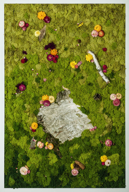 Sweet Birch - Moss Art