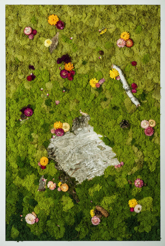 Sweet Birch - Moss Art