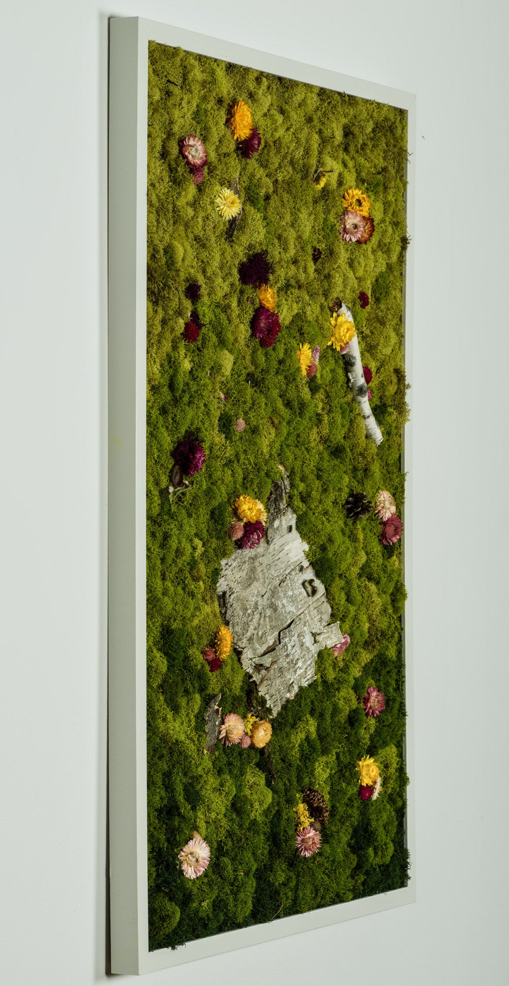 Sweet Birch - Moss Art