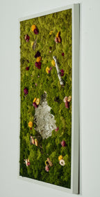 Sweet Birch - Moss Art