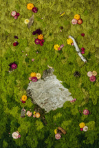 Bright to dark green ombre moss wall depicting a forest floor with birch bark and flowers fine art print