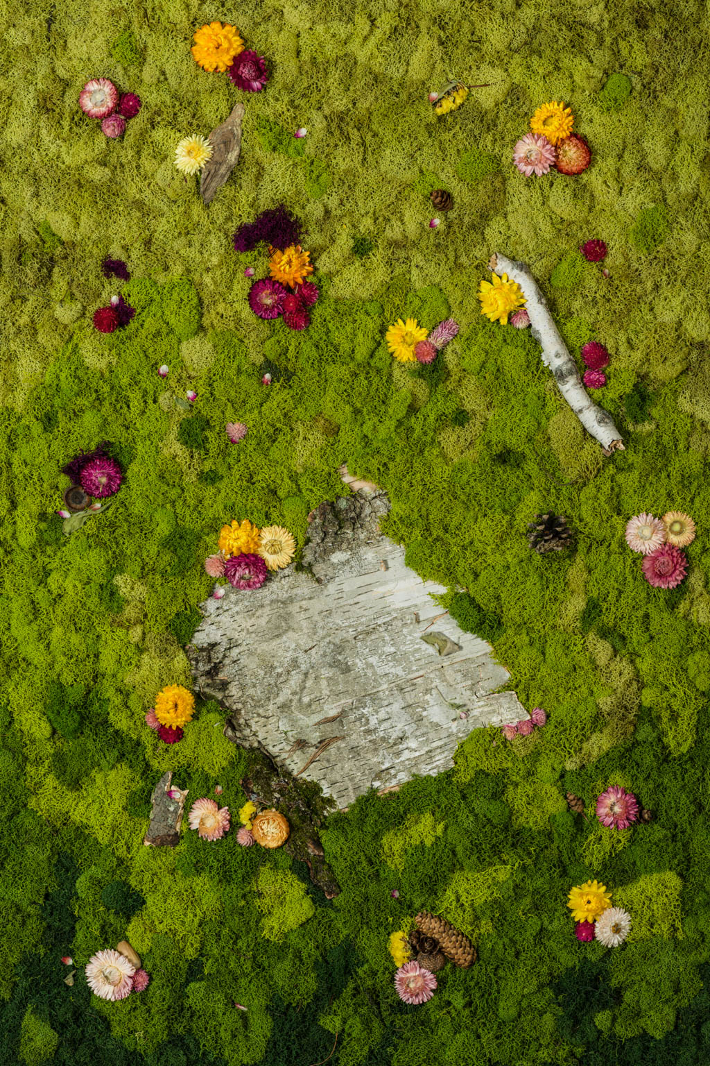 Bright to dark green ombre moss wall depicting a forest floor with birch bark and flowers fine art print