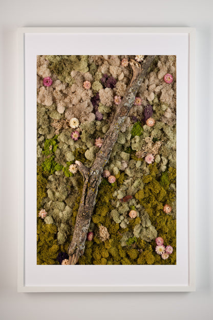 The Original - Fine Art Print