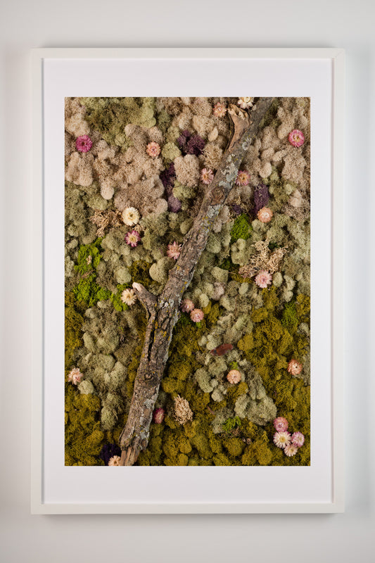 The Original - Fine Art Print