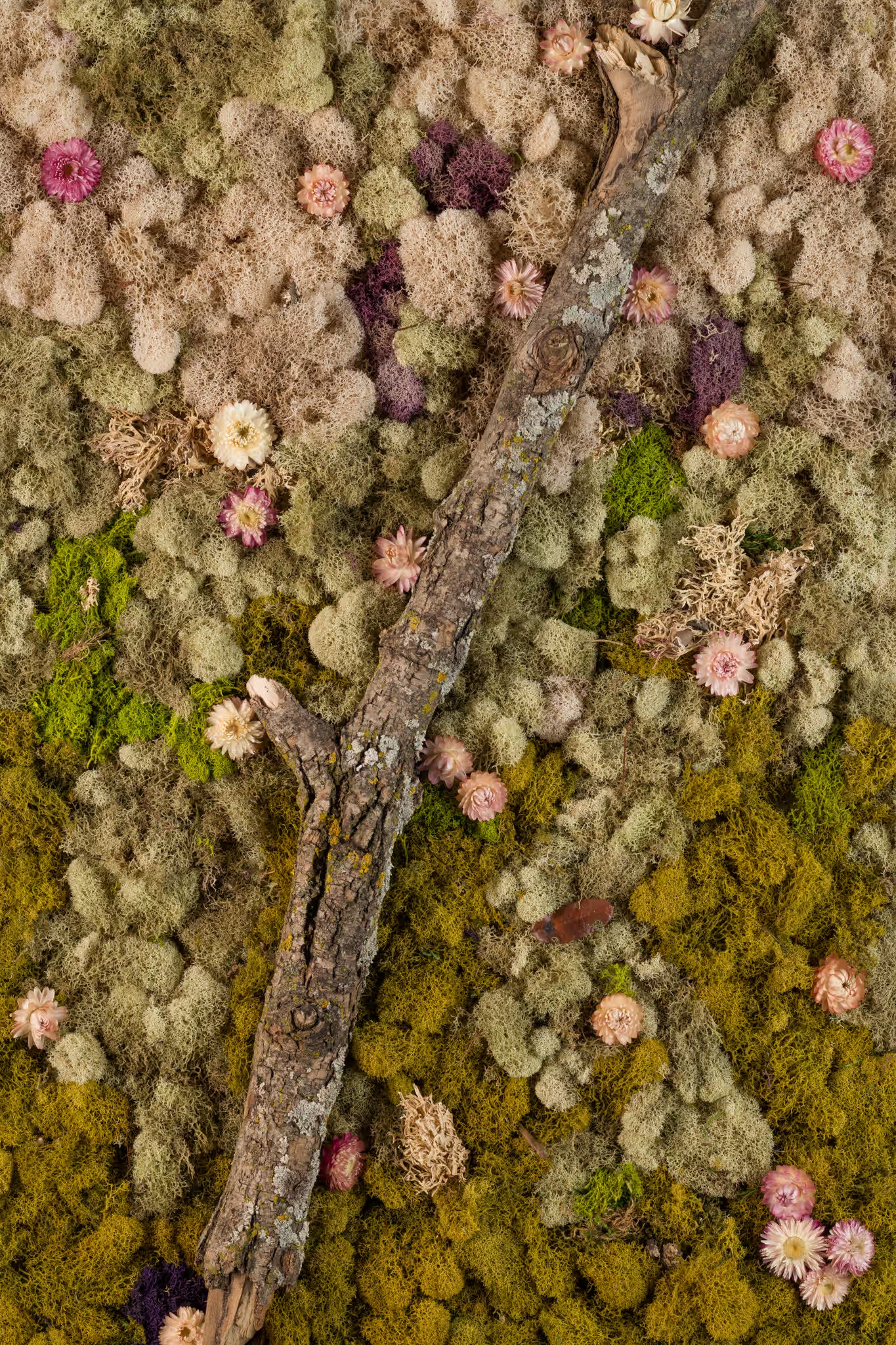 Nude and green moss wall with wooden log and blush flowers fine art print