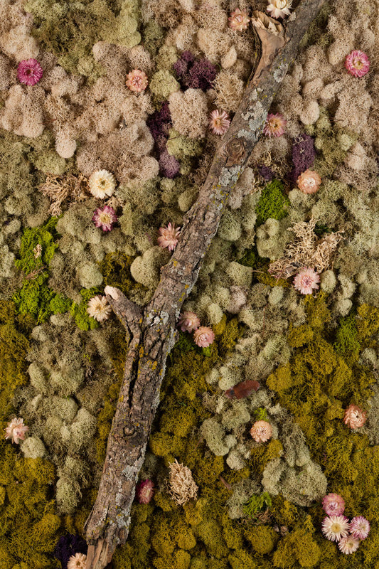 The Original - Fine Art Print