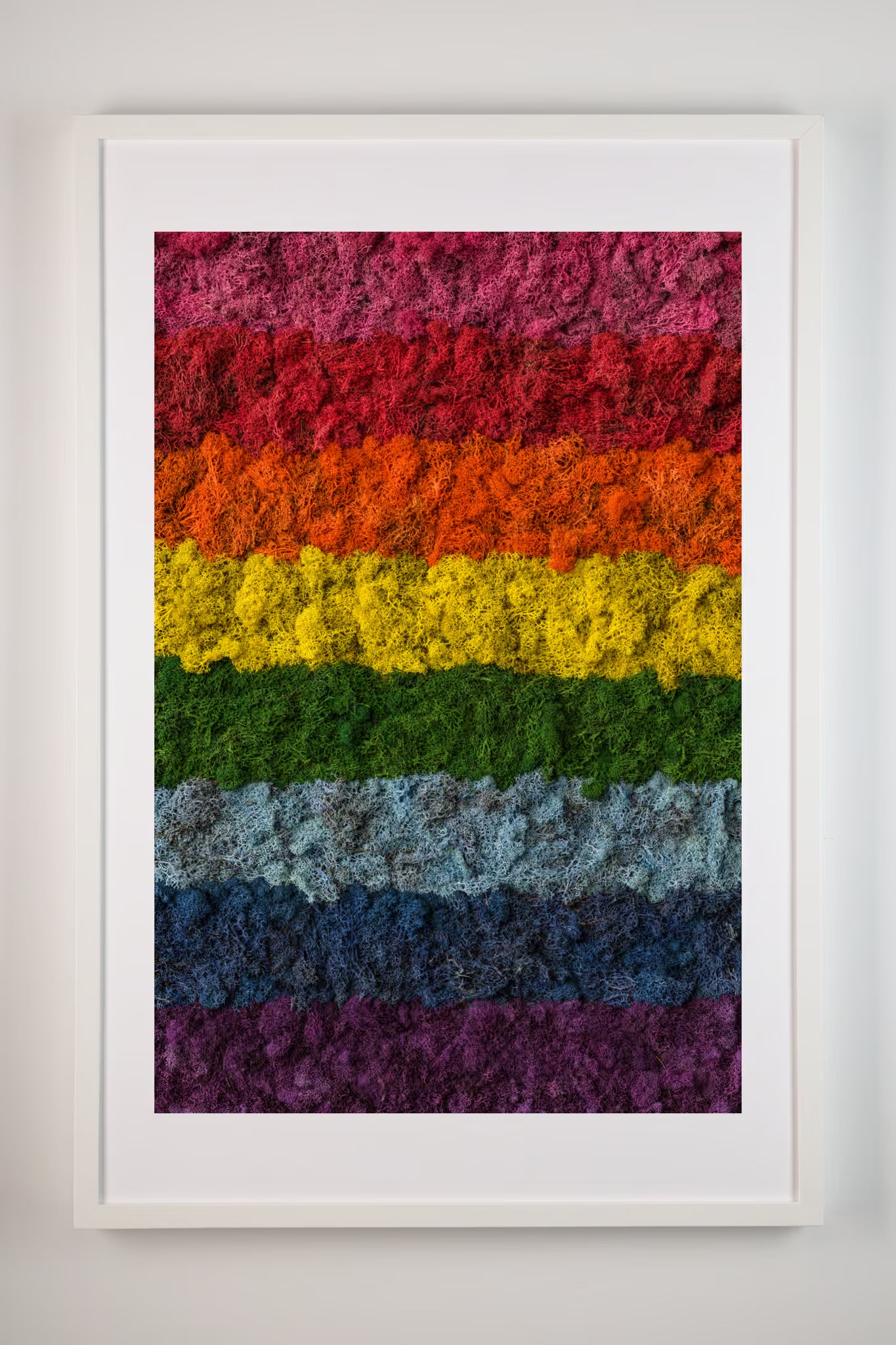 Rainbow moss fine art print original LGBTQ pride flag shown in frame