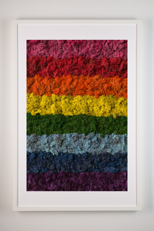 The Rainbow - Fine Art Print