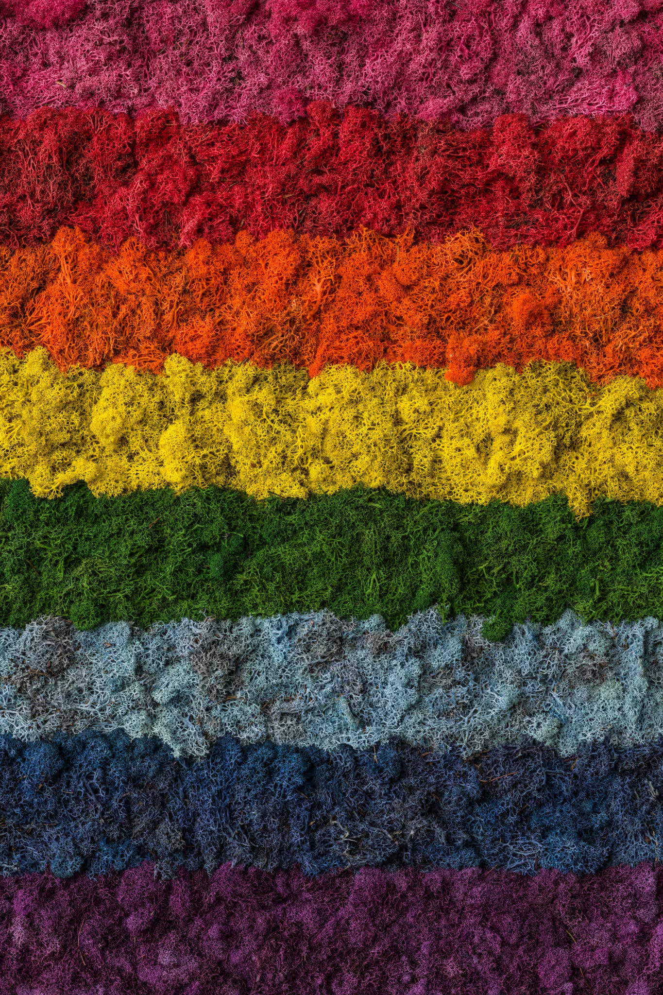 Rainbow moss fine art print original LGBTQ pride flag