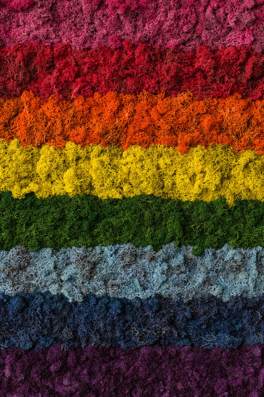 The Rainbow - Fine Art Print