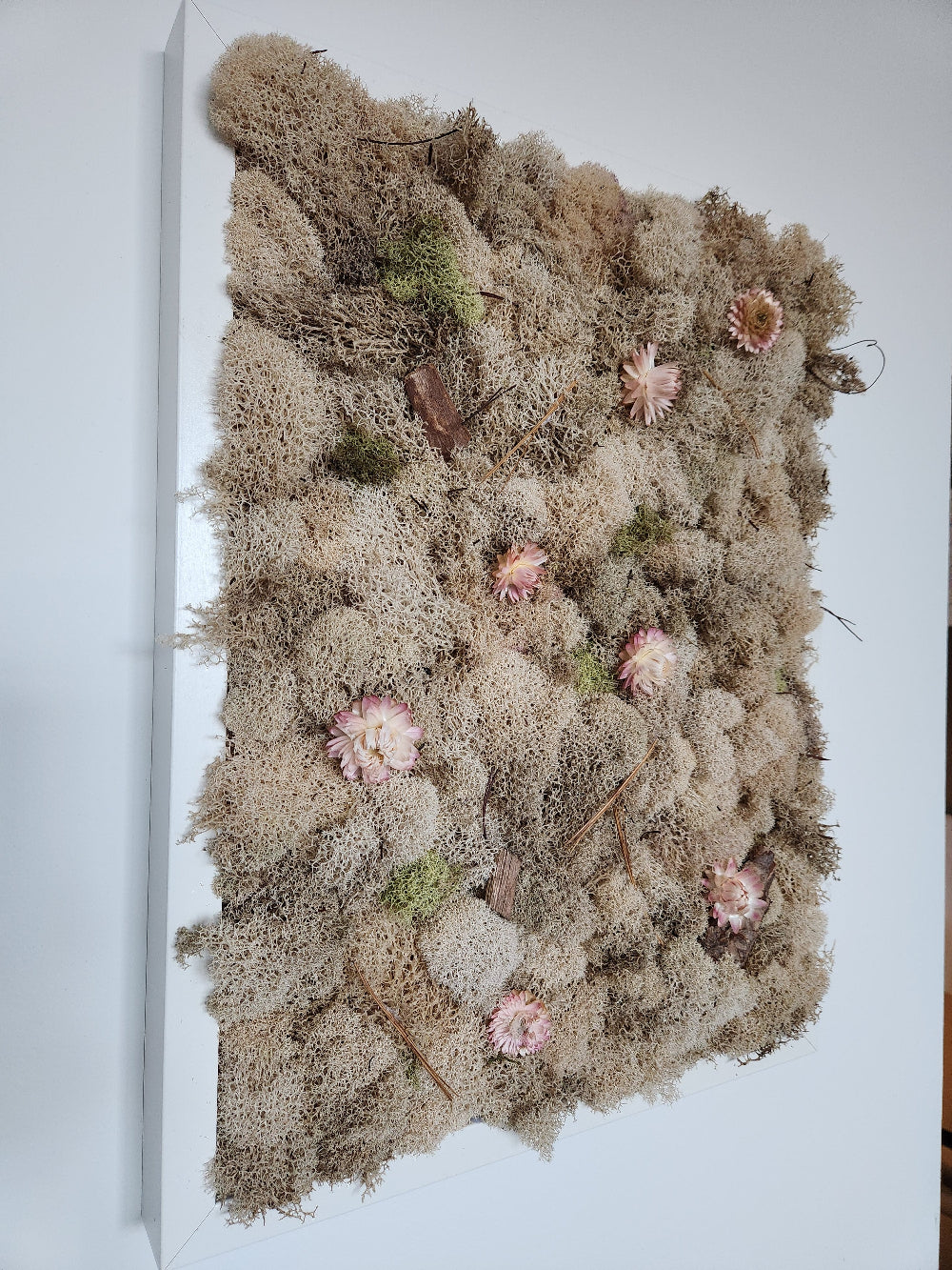 Nude Moss With Nude Flowers