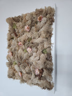 Nude Moss With Nude Flowers - Moss Art