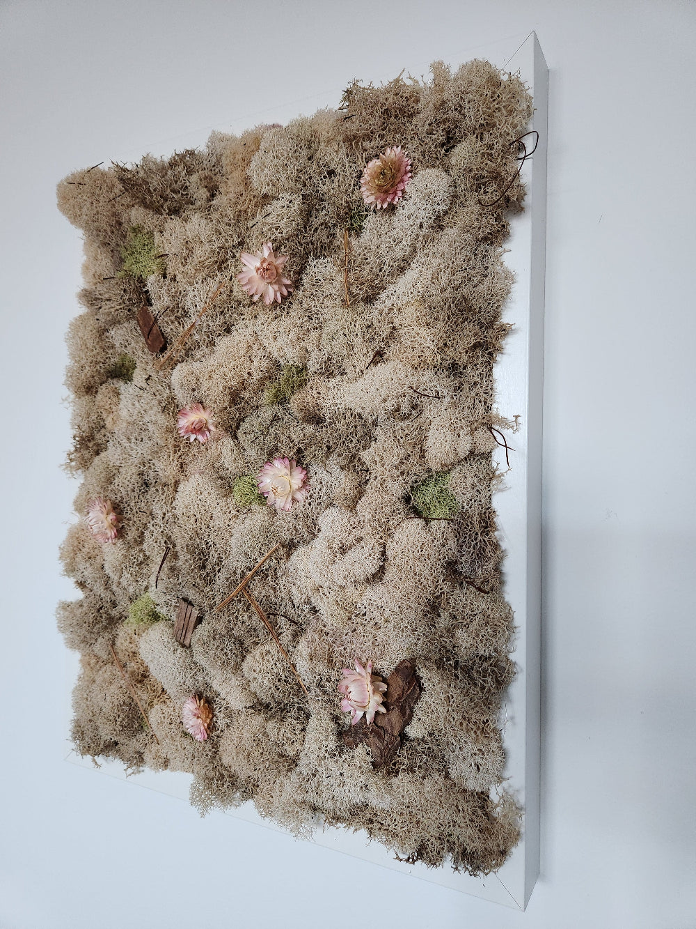 Nude Moss With Nude Flowers - Moss Art